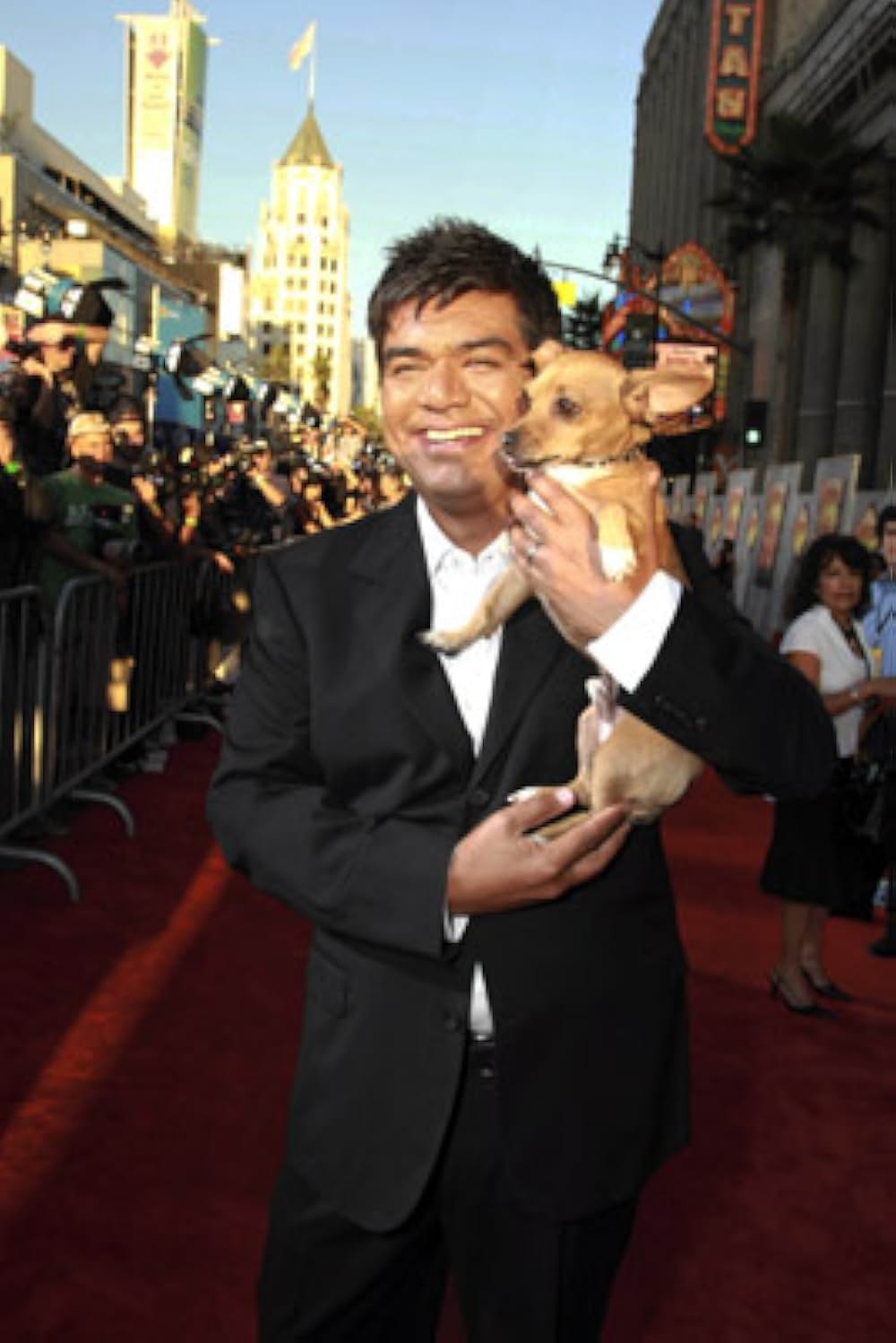 ビバリーヒルズ・チワワの画像