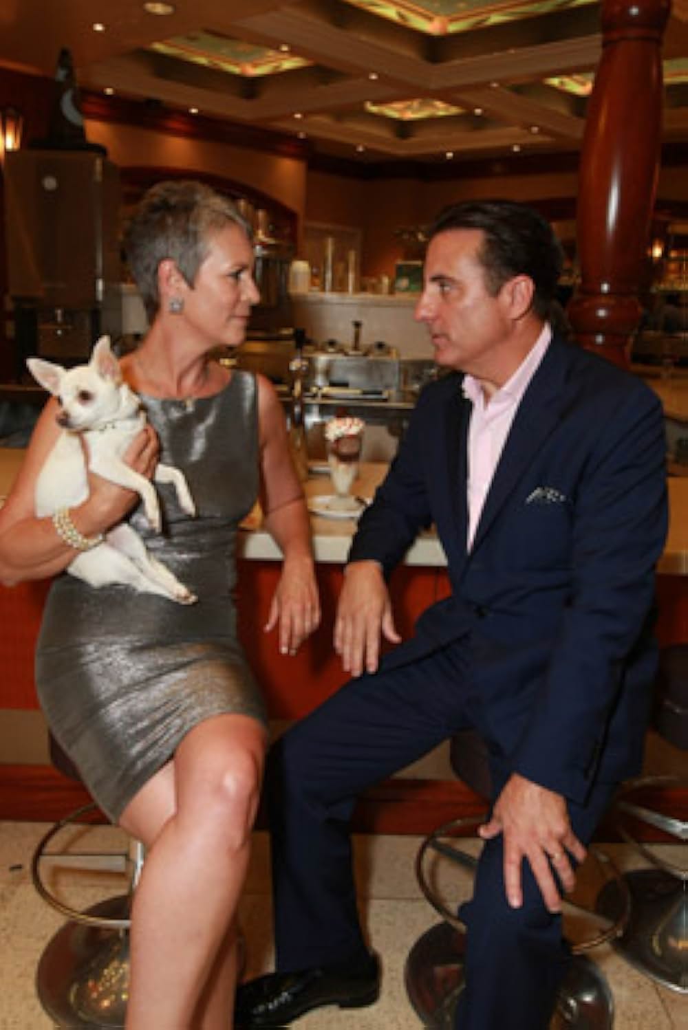 ビバリーヒルズ・チワワの画像