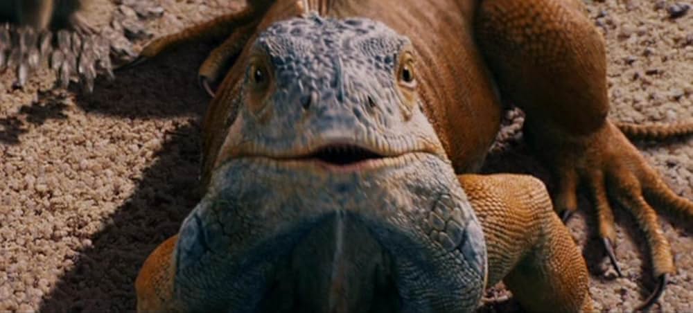 ビバリーヒルズ・チワワの画像