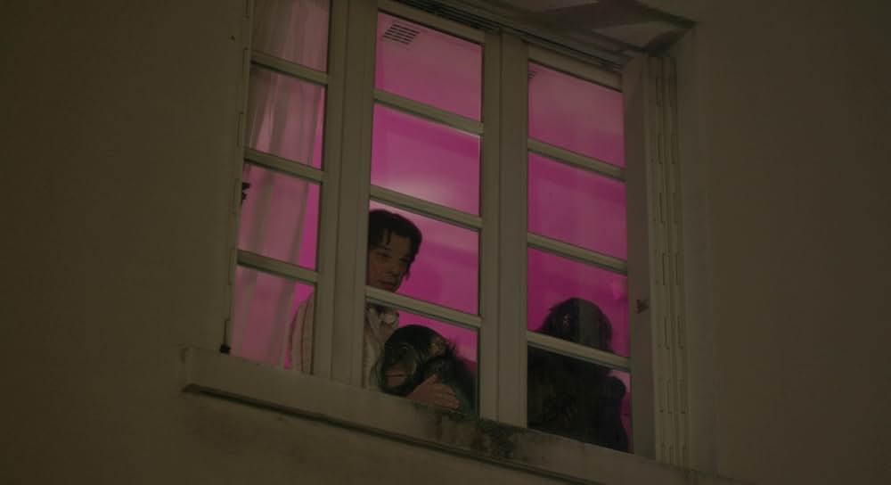 ホーリー・モーターズの画像