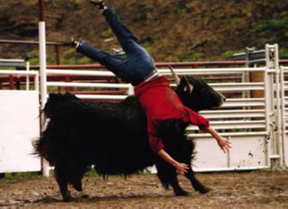 jackass number twoの画像