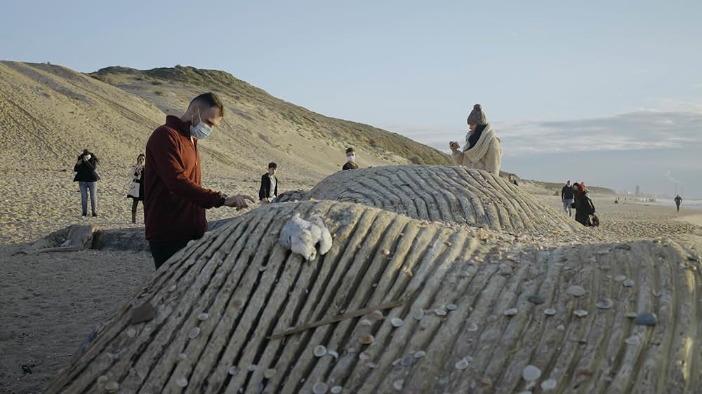 鯨へのレクイエムの画像