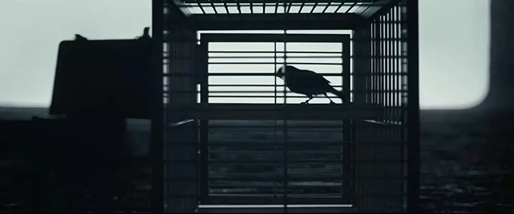 メッセージの画像