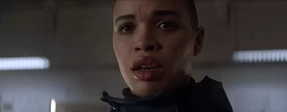 月影の下での画像