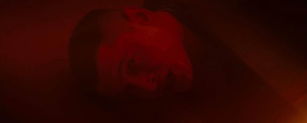 名もなき塀の中の王の画像