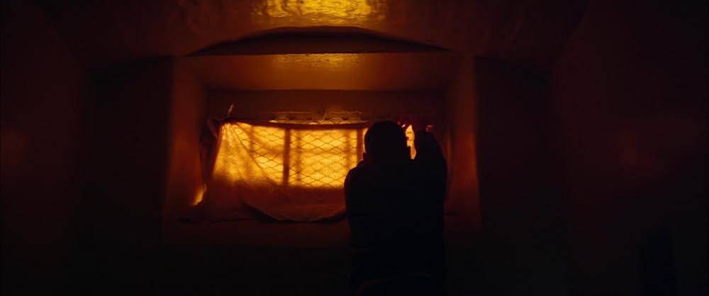 名もなき塀の中の王の画像