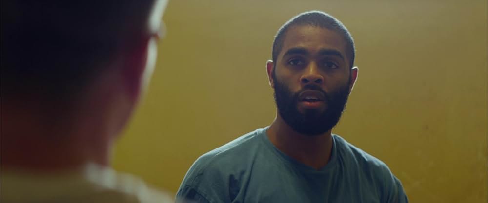 名もなき塀の中の王の画像