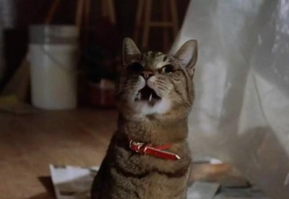 スパイダー パニック！の画像