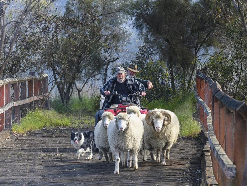 Rams（原題）の画像