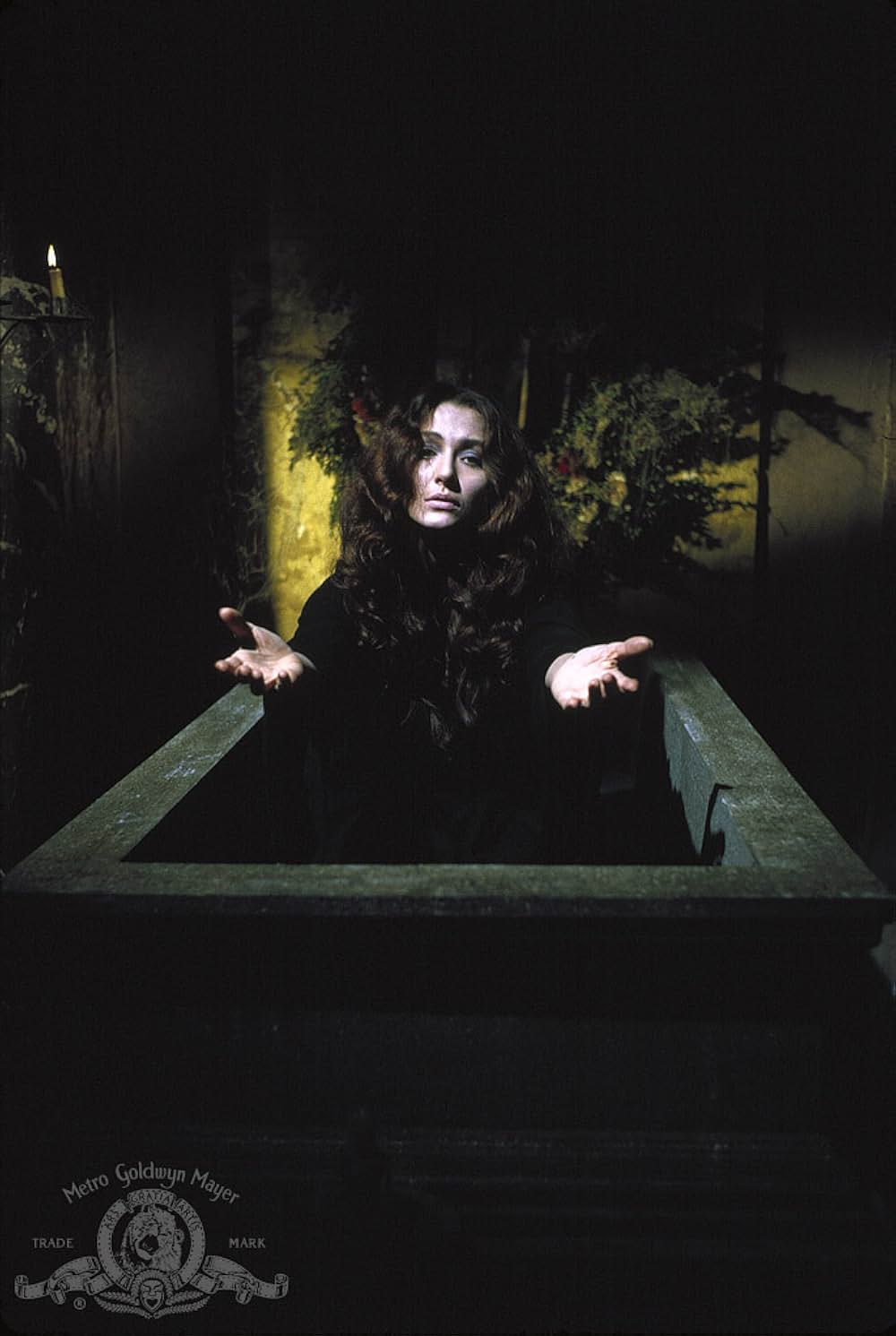 モルグ街の殺人の画像