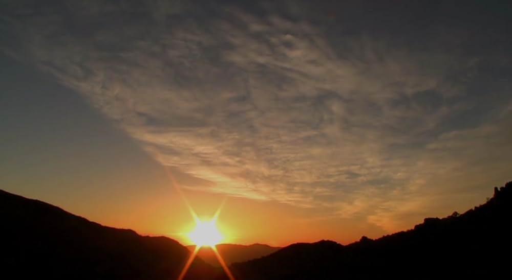 Why?（原題）の画像