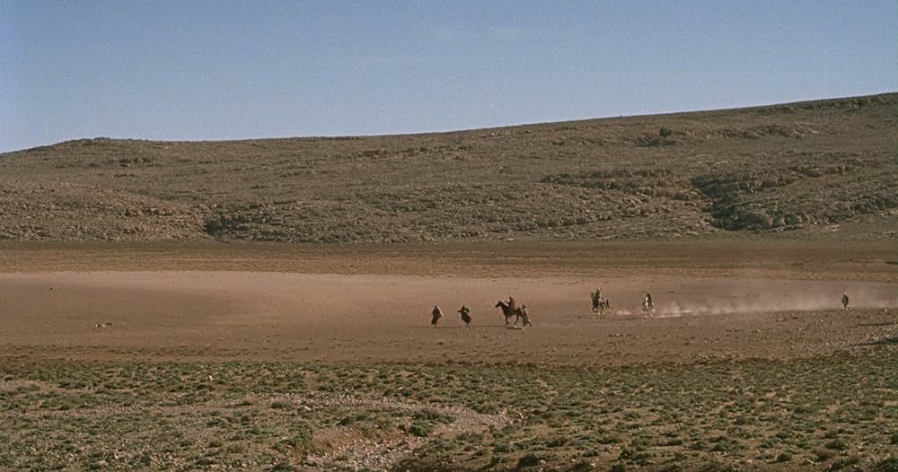 Mimosas（原題）の画像