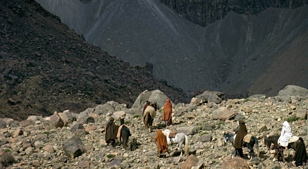 Mimosas（原題）の画像