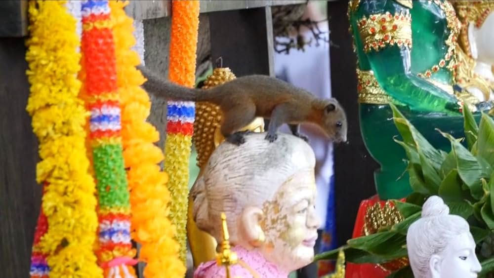 Mondo Siam（原題）の画像