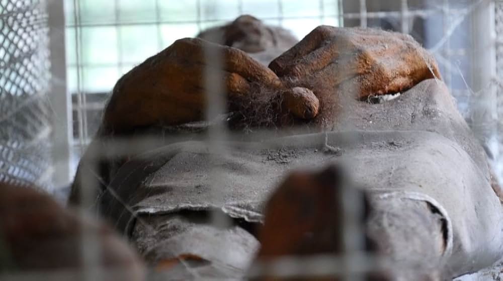 Mondo Siam（原題）の画像