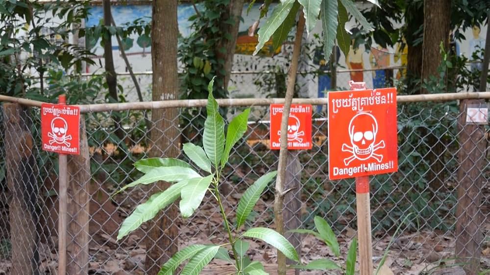 Mondo Siam（原題）の画像