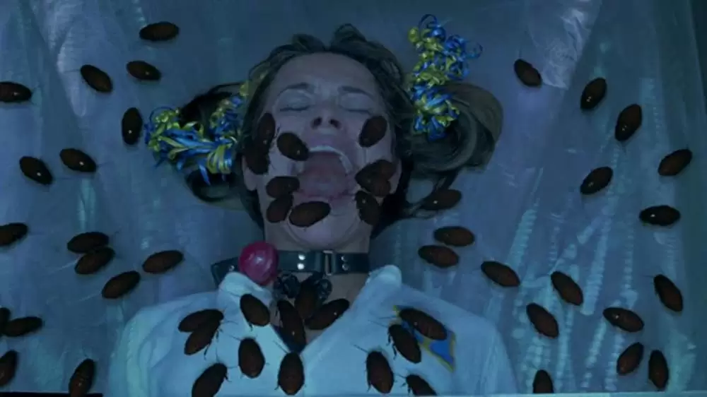 「ホステル3」ズライ・エナオの画像