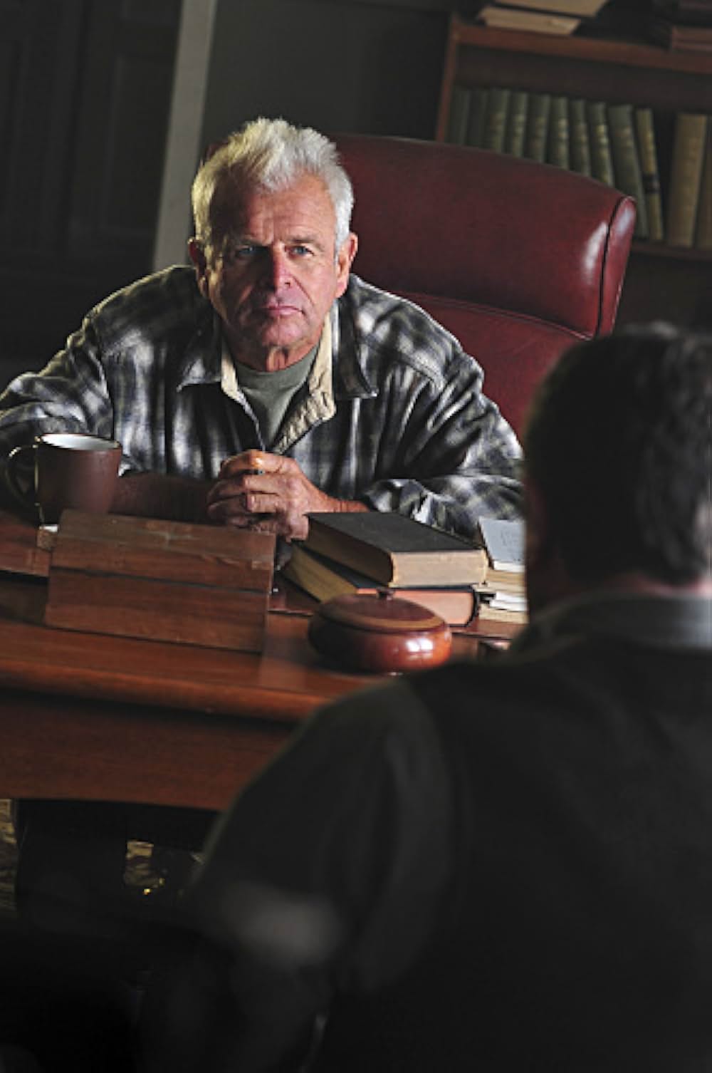 警察署長ジェッシイ・ストーン 非情の影の画像