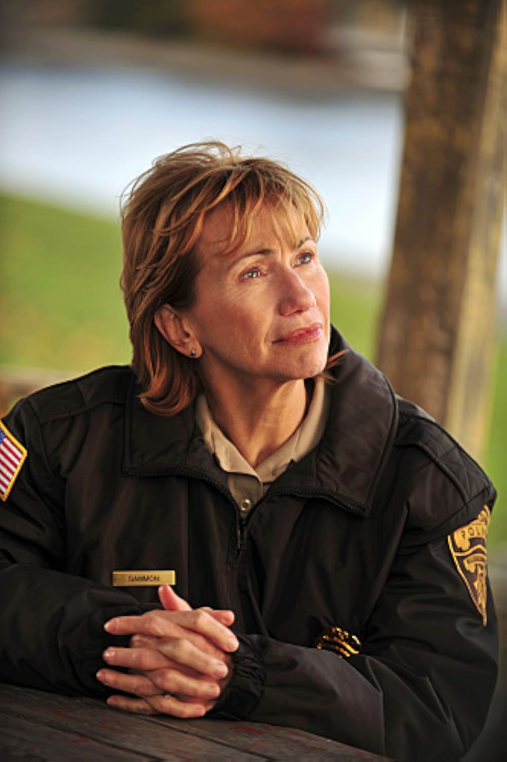 警察署長ジェッシイ・ストーン 非情の影の画像