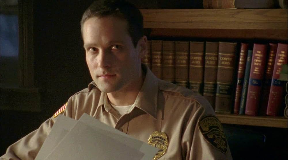 警察署長ジェッシイ・ストーン 非情の影の画像