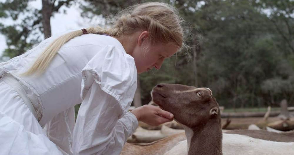 ストップ・ザ・パウンディング・ハート（原題）の画像
