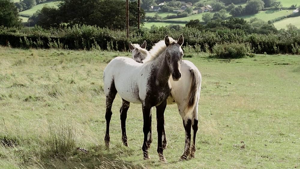 Hide and Seek（原題）の画像