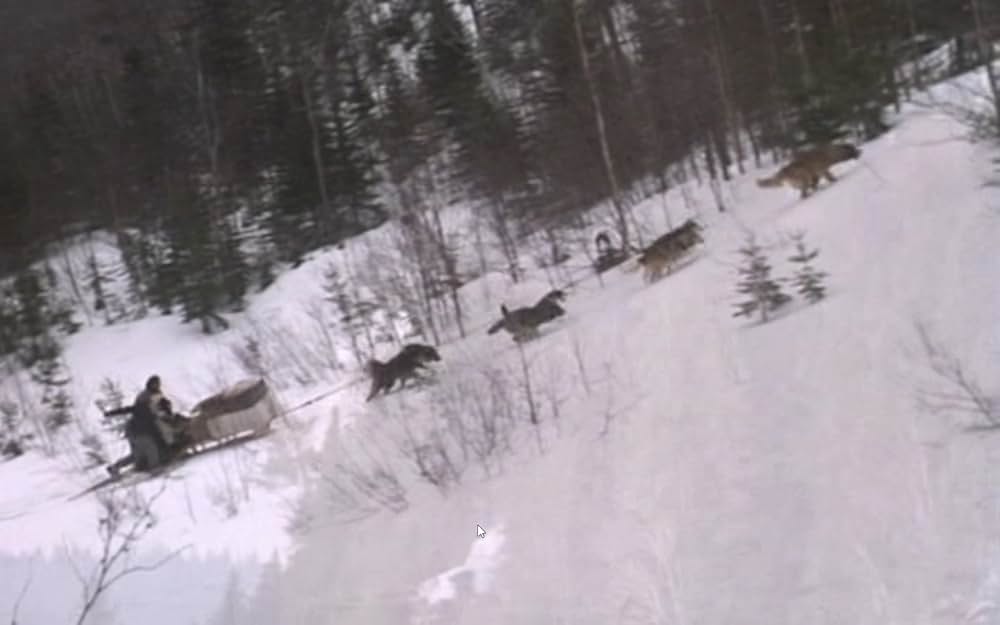 ザ・サバイバルの画像