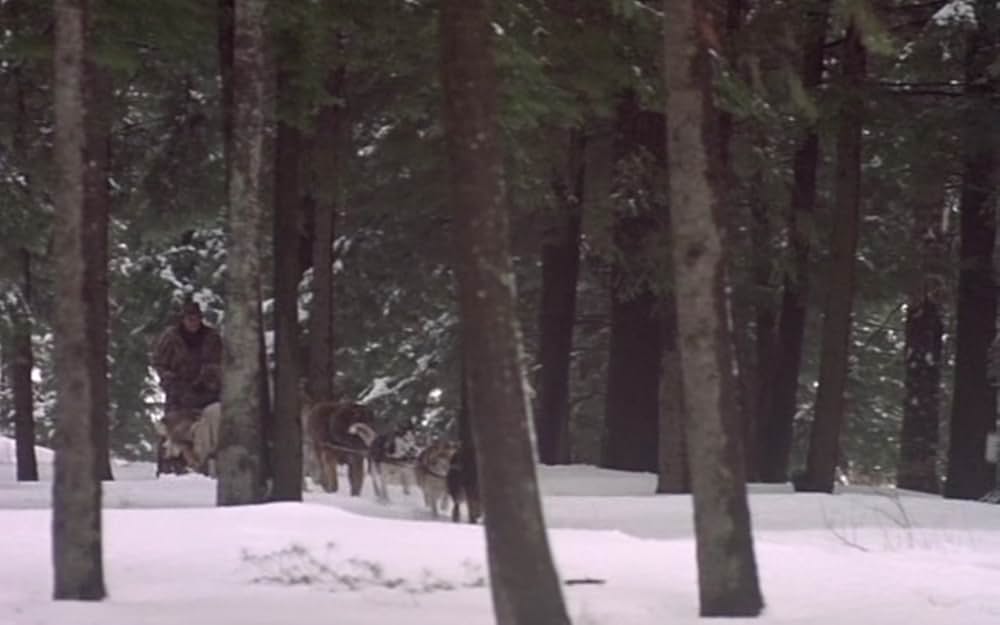 ザ・サバイバルの画像