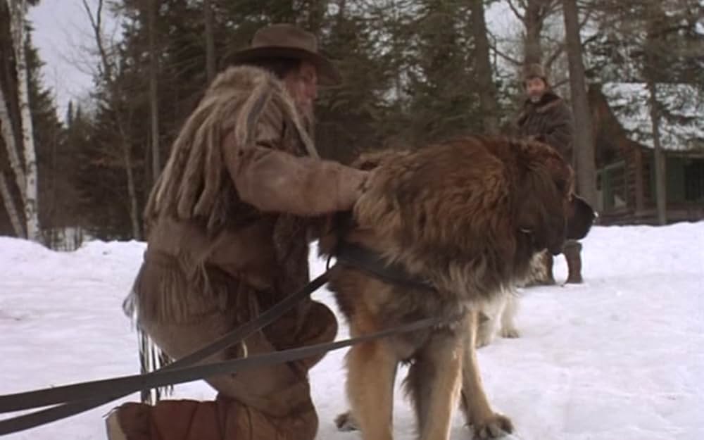 ザ・サバイバルの画像