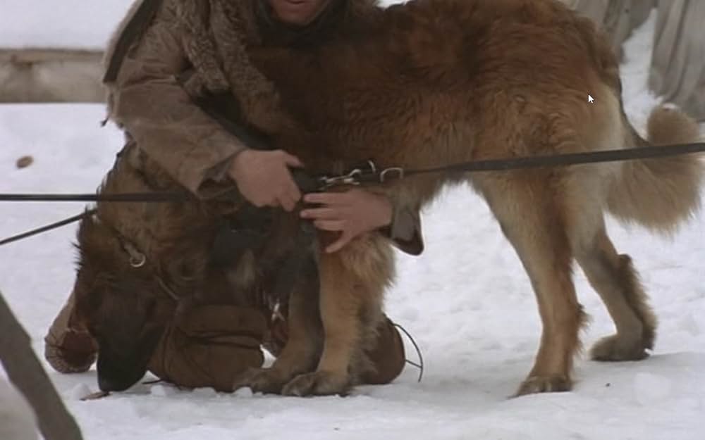 ザ・サバイバルの画像