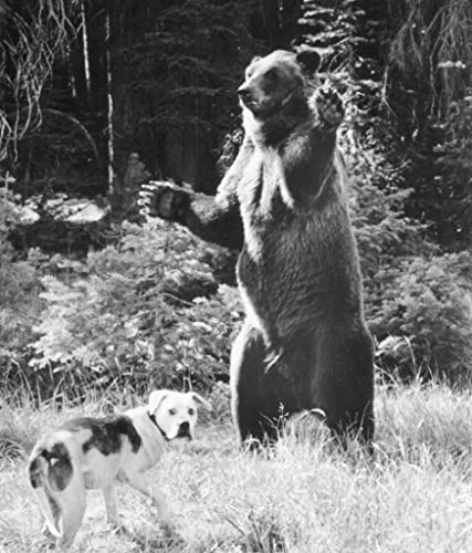 奇跡の旅の画像