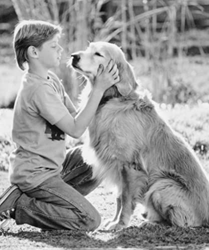 奇跡の旅の画像