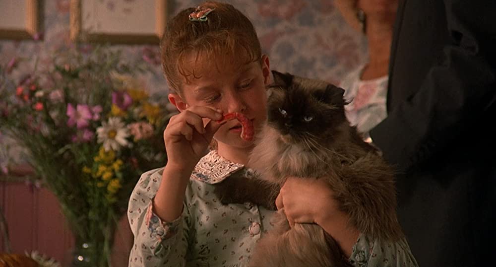 奇跡の旅の画像