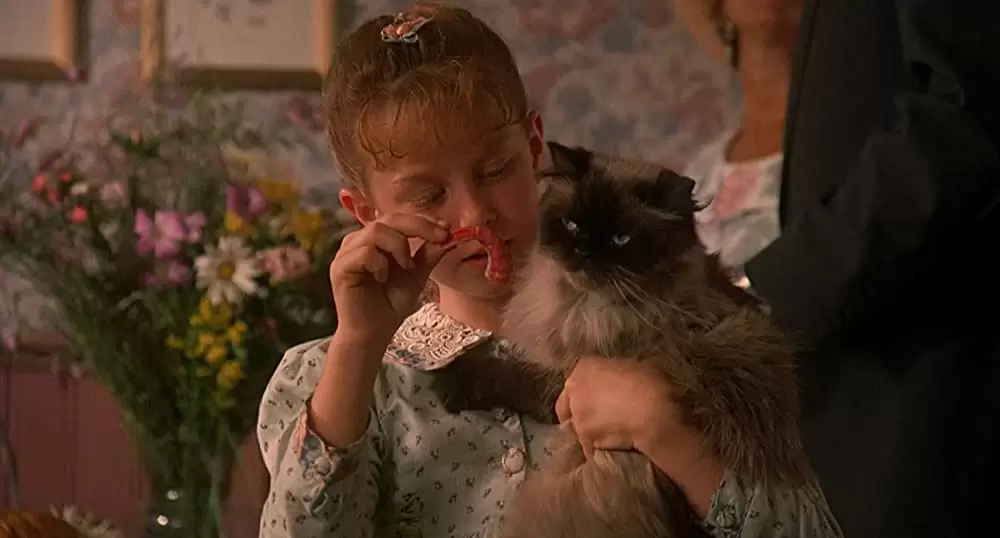 奇跡の旅の画像