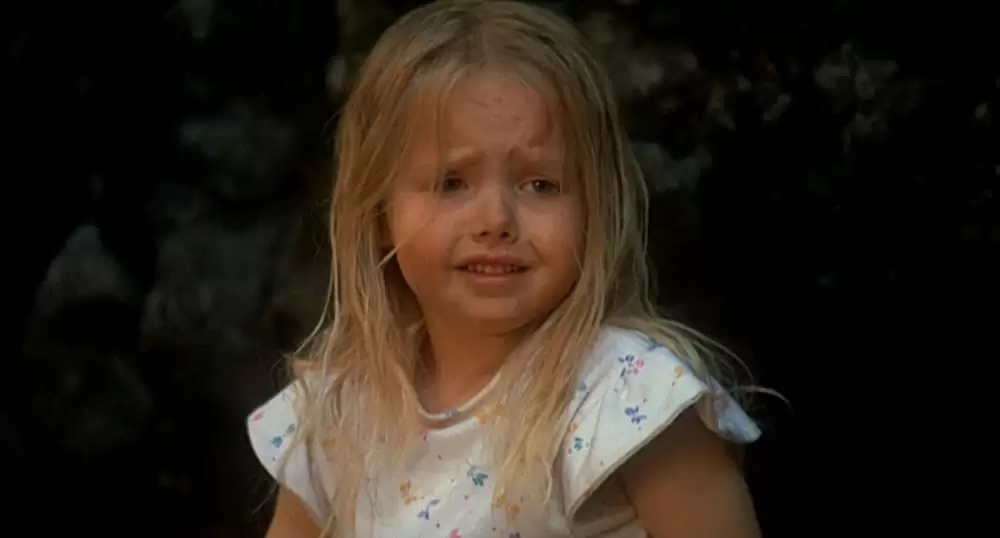 奇跡の旅の画像