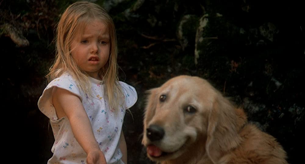 奇跡の旅の画像