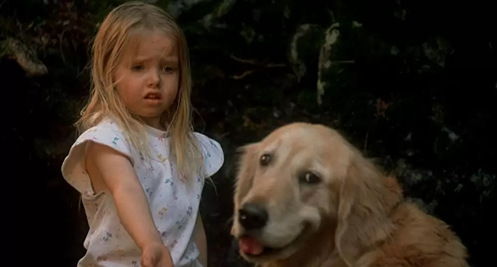 奇跡の旅の画像