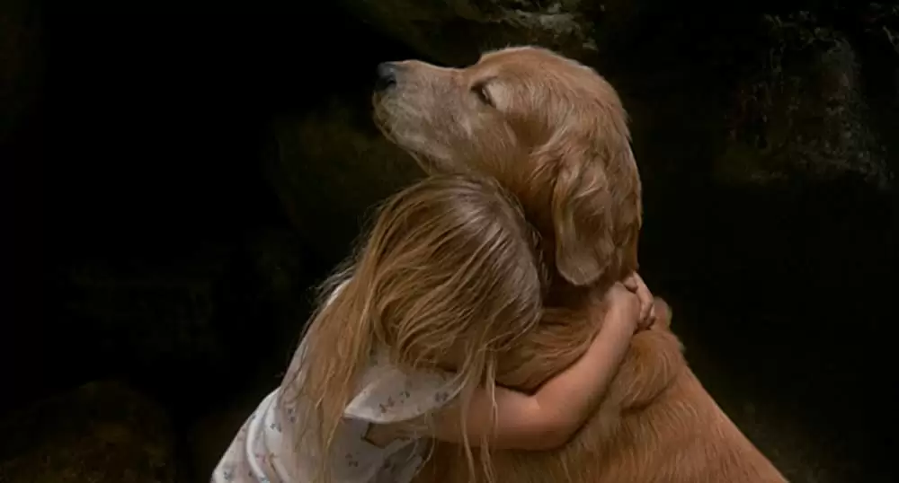 奇跡の旅の画像