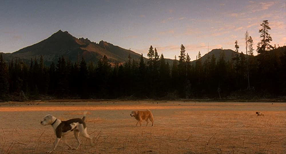 奇跡の旅の画像