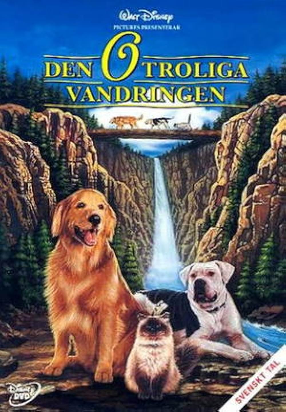 奇跡の旅の画像