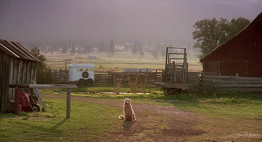 奇跡の旅の画像