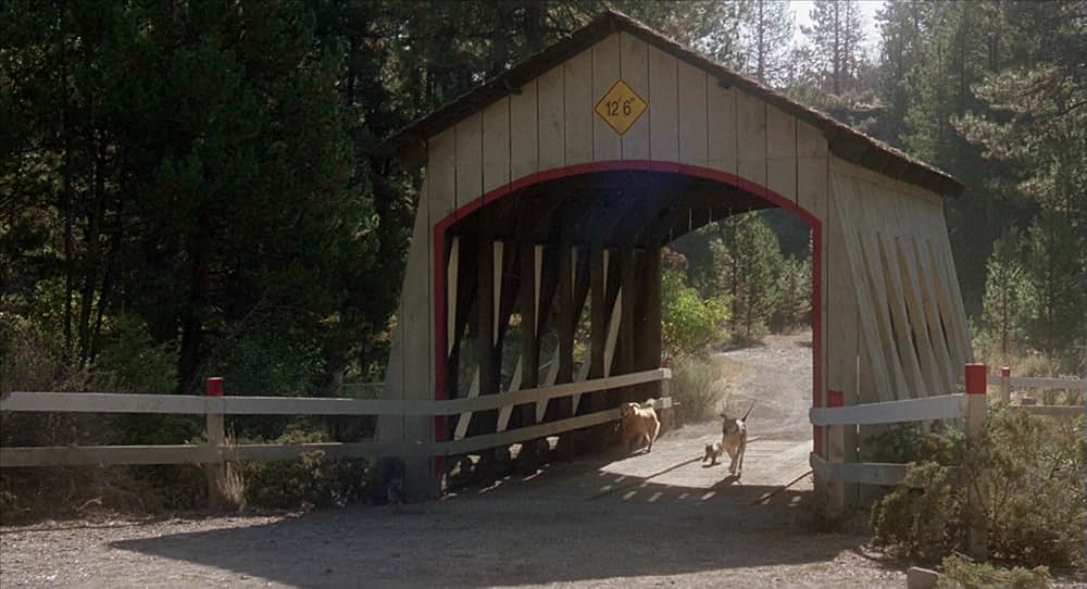 奇跡の旅の画像