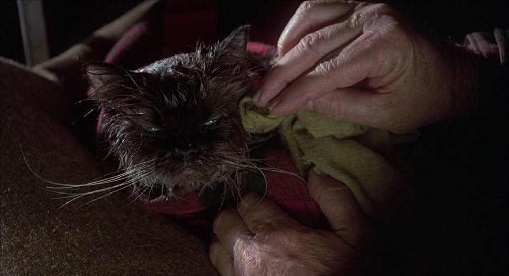 奇跡の旅の画像