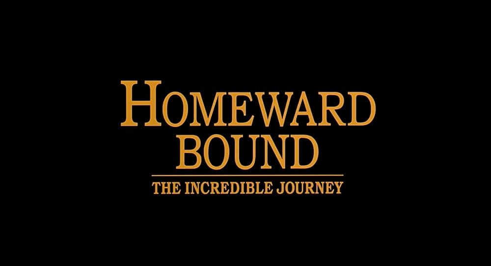 奇跡の旅の画像