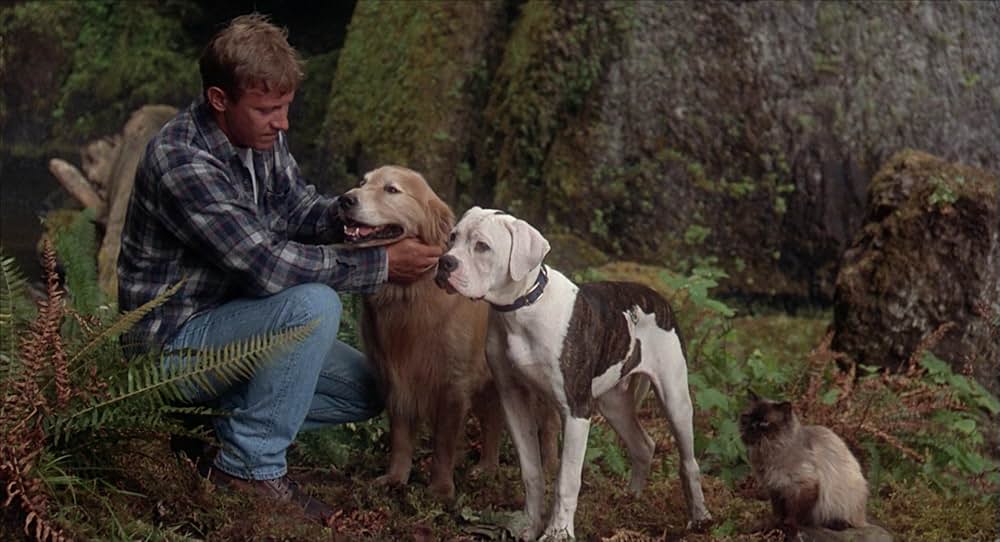 奇跡の旅の画像