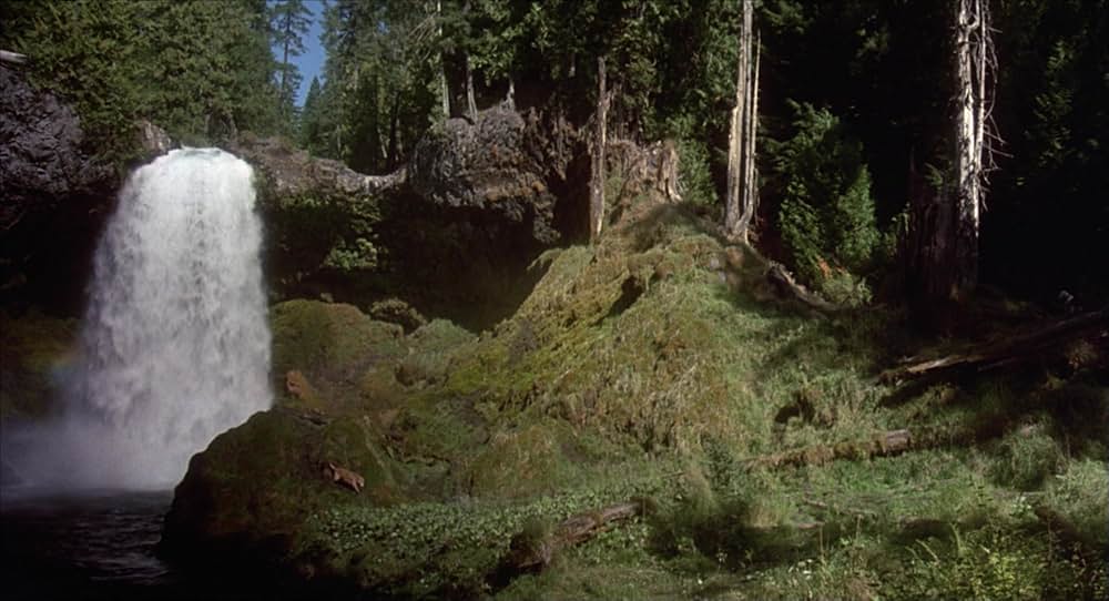 奇跡の旅の画像