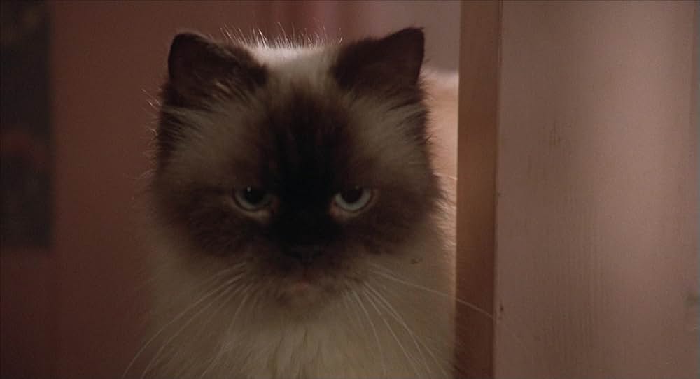 奇跡の旅の画像