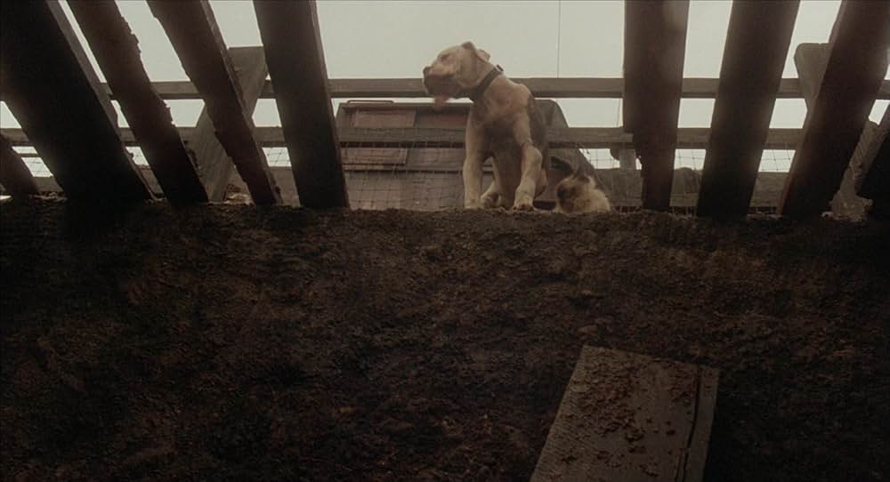 奇跡の旅の画像