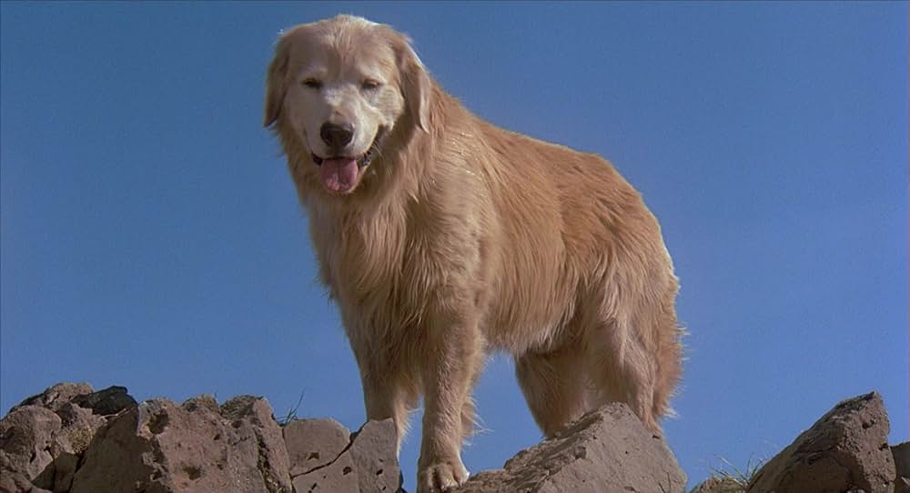 奇跡の旅の画像