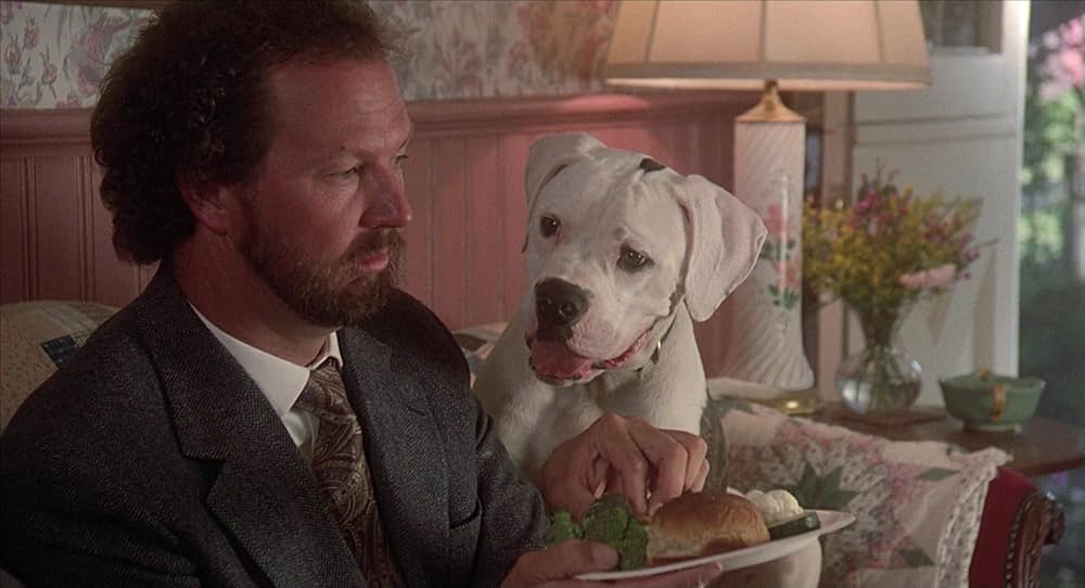 奇跡の旅の画像